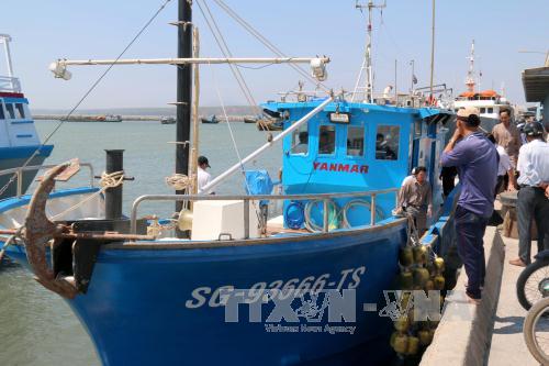 Ngư dân Bình Thuận tiếp cận tàu cá vỏ composite