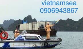 Sửa chữa phương tiện CA50-0121 và CA50-0134 ởThành Phố Hồ Chí Minh  